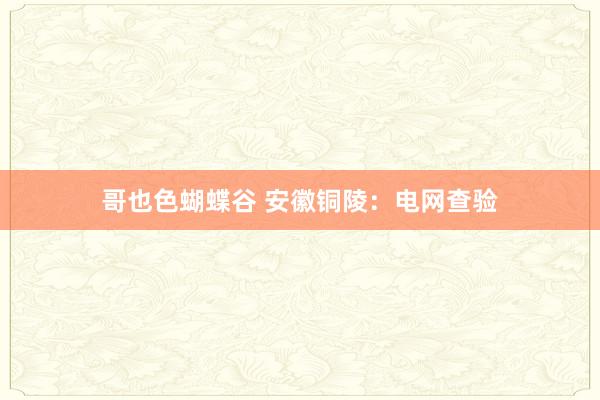 哥也色蝴蝶谷 安徽铜陵：电网查验