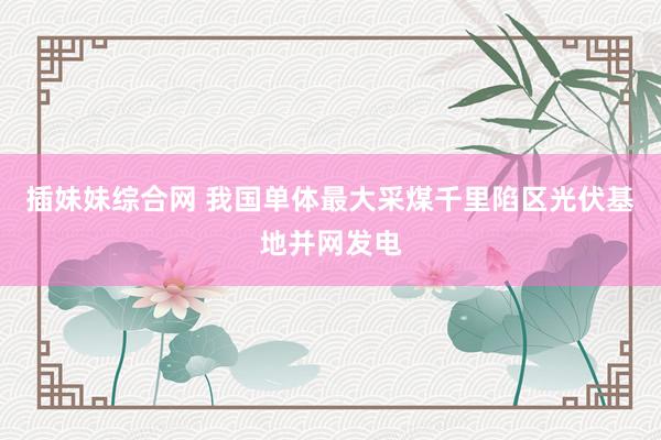 插妹妹综合网 我国单体最大采煤千里陷区光伏基地并网发电