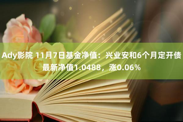 Ady影院 11月7日基金净值：兴业安和6个月定开债最新净值1.0488，涨0.06%