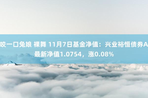 咬一口兔娘 裸舞 11月7日基金净值：兴业裕恒债券A最新净值1.0754，涨0.08%