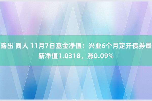 露出 同人 11月7日基金净值：兴业6个月定开债券最新净值1.0318，涨0.09%