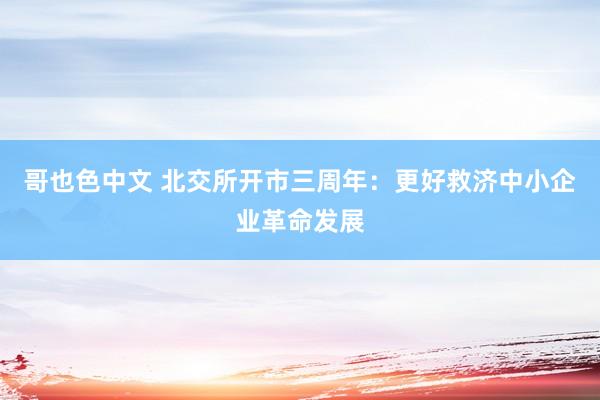哥也色中文 北交所开市三周年：更好救济中小企业革命发展