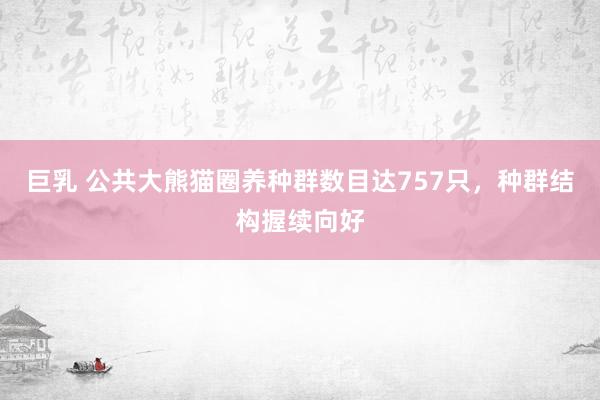 巨乳 公共大熊猫圈养种群数目达757只，种群结构握续向好