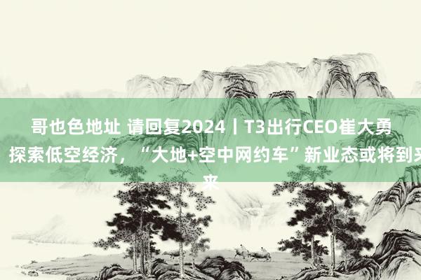 哥也色地址 请回复2024丨T3出行CEO崔大勇：探索低空经济，“大地+空中网约车”新业态或将到来